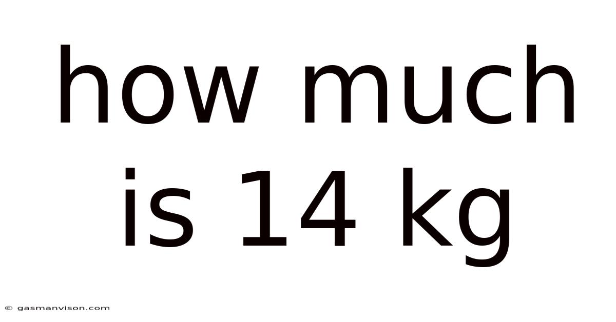 How Much Is 14 Kg