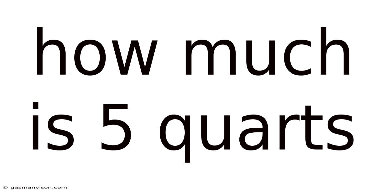 How Much Is 5 Quarts