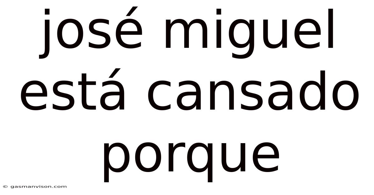 José Miguel Está Cansado Porque
