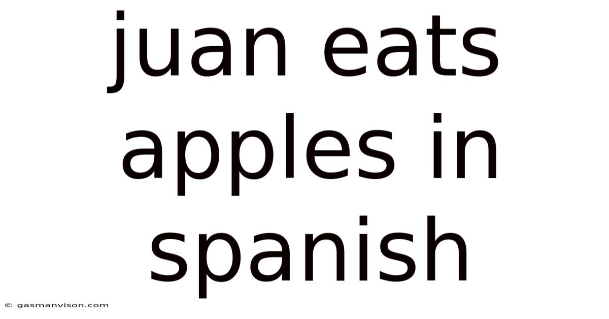 Juan Eats Apples In Spanish