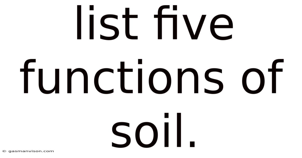 List Five Functions Of Soil.