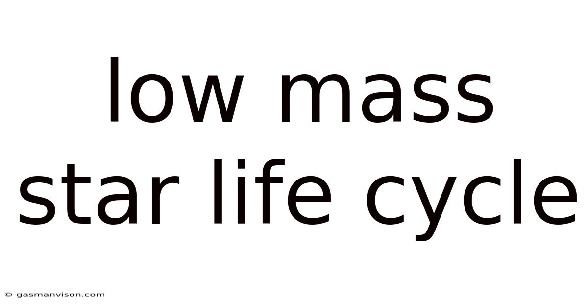 Low Mass Star Life Cycle