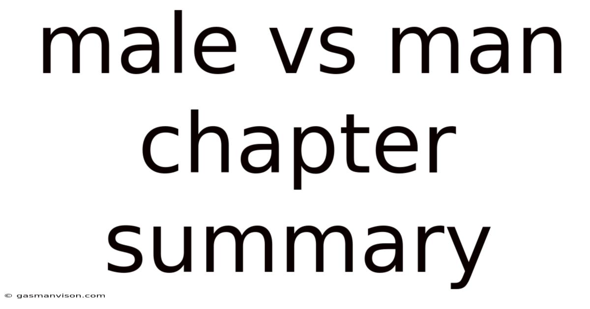 Male Vs Man Chapter Summary