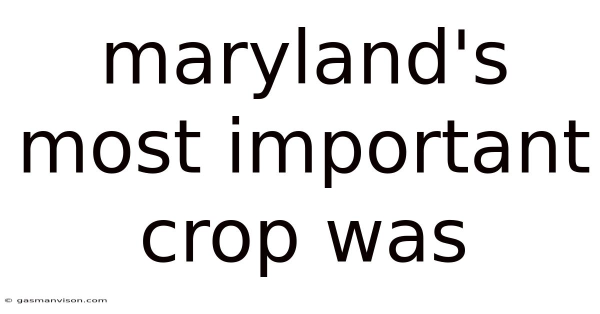 Maryland's Most Important Crop Was