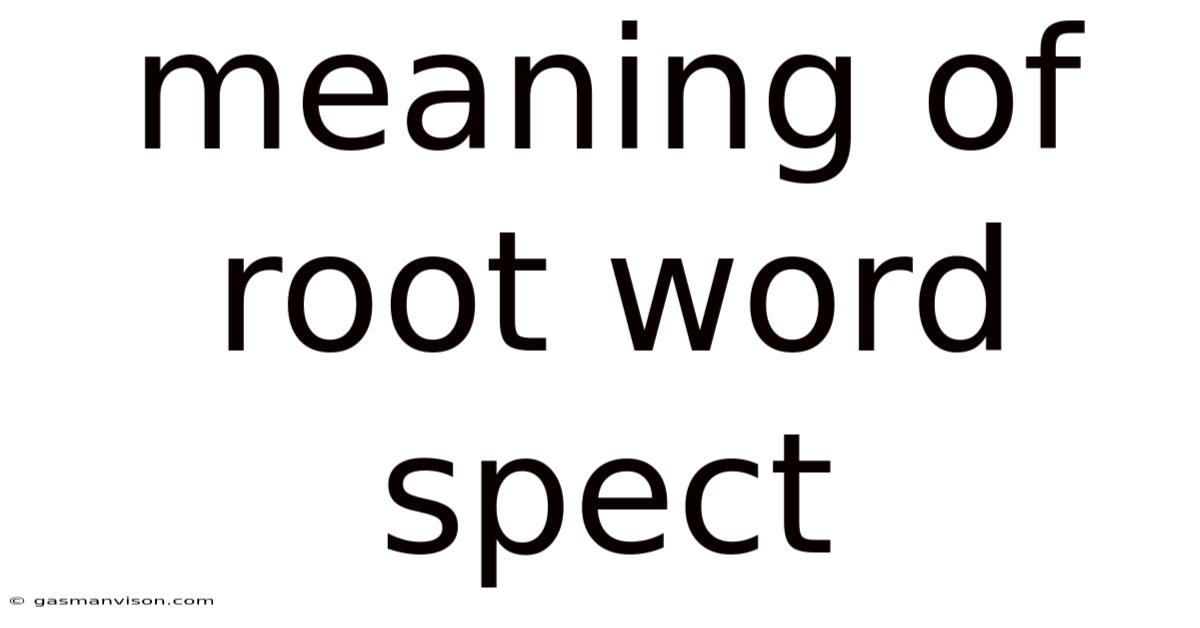 Meaning Of Root Word Spect