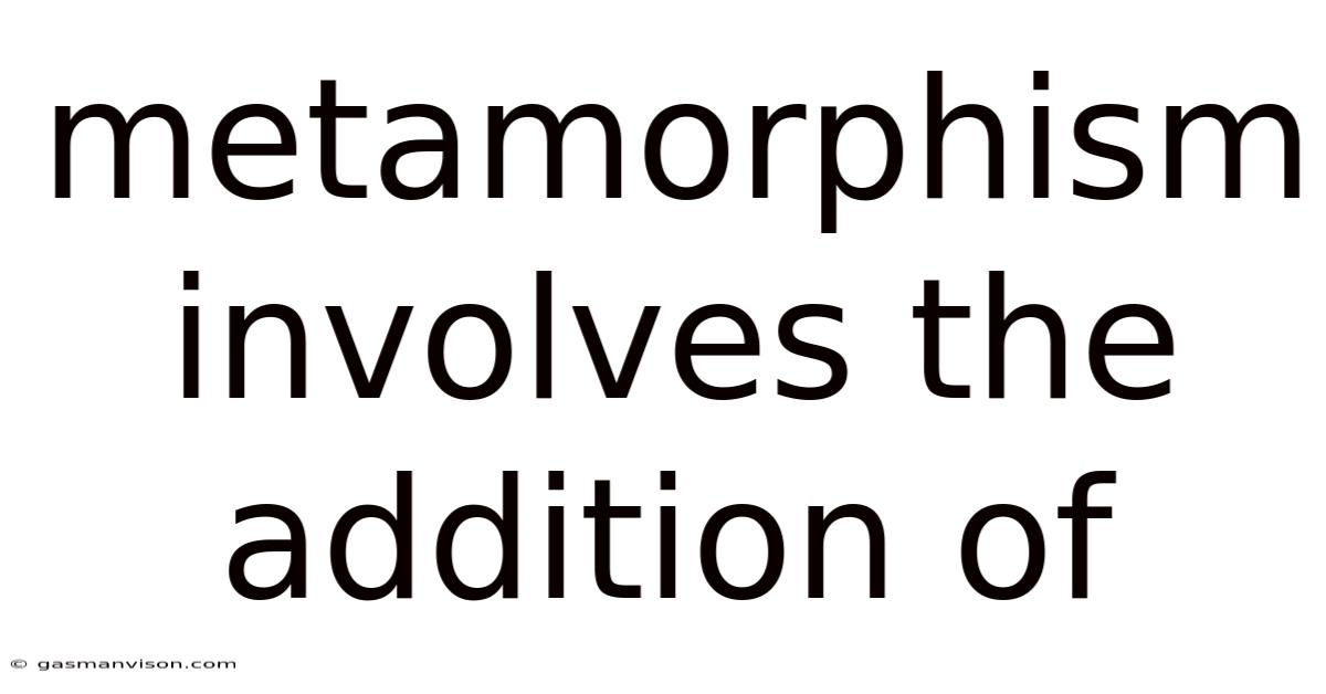 Metamorphism Involves The Addition Of
