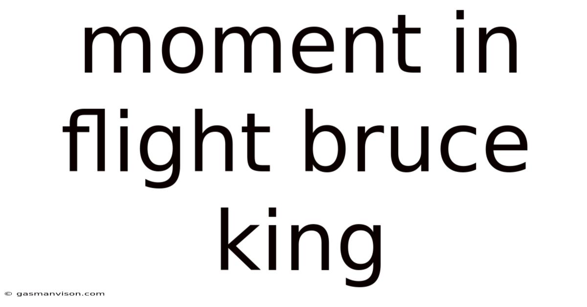 Moment In Flight Bruce King