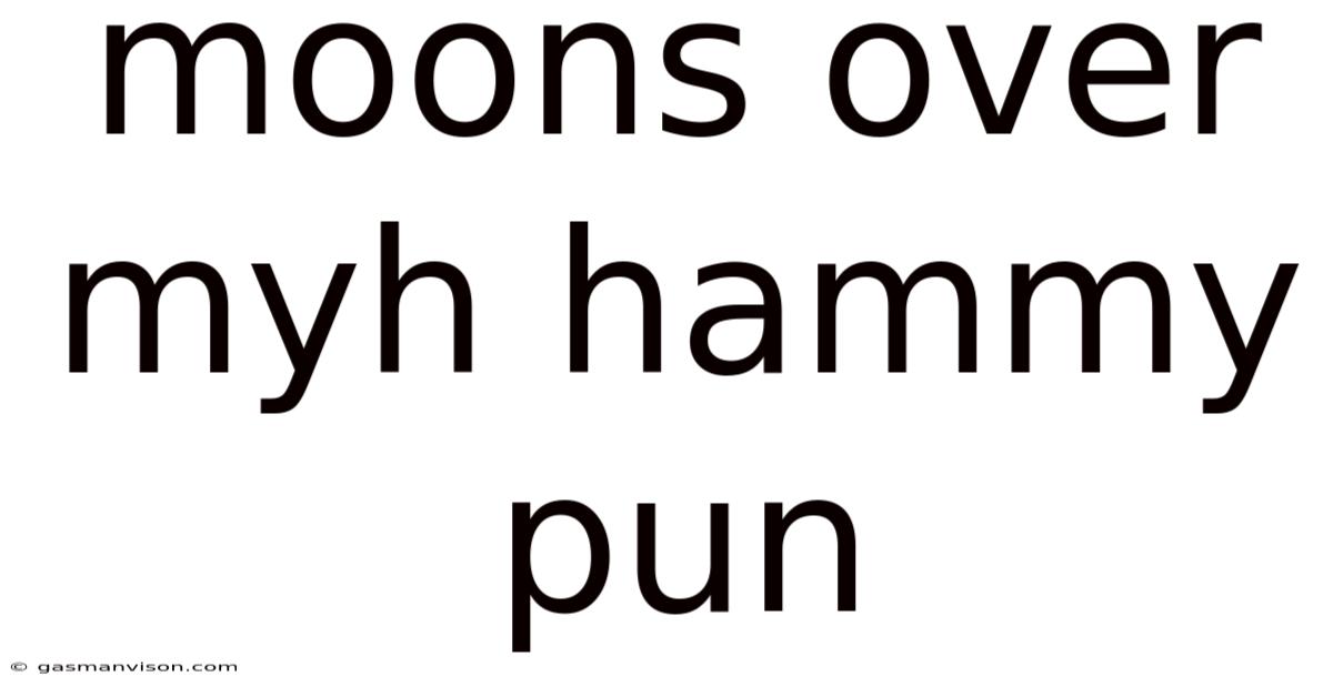 Moons Over Myh Hammy Pun