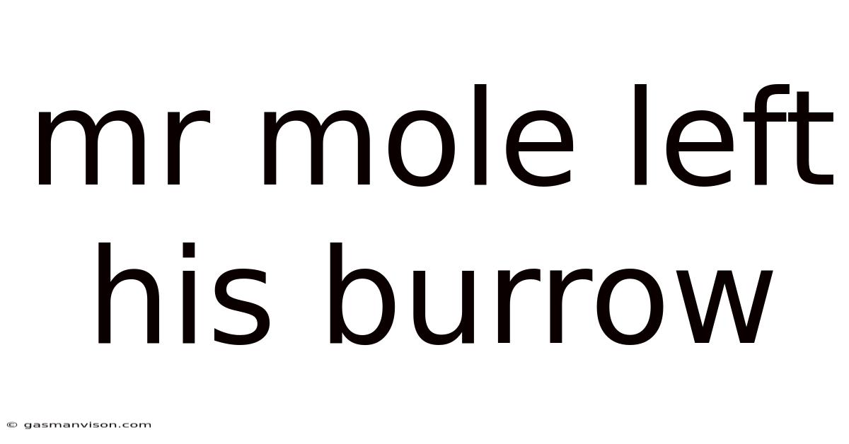 Mr Mole Left His Burrow