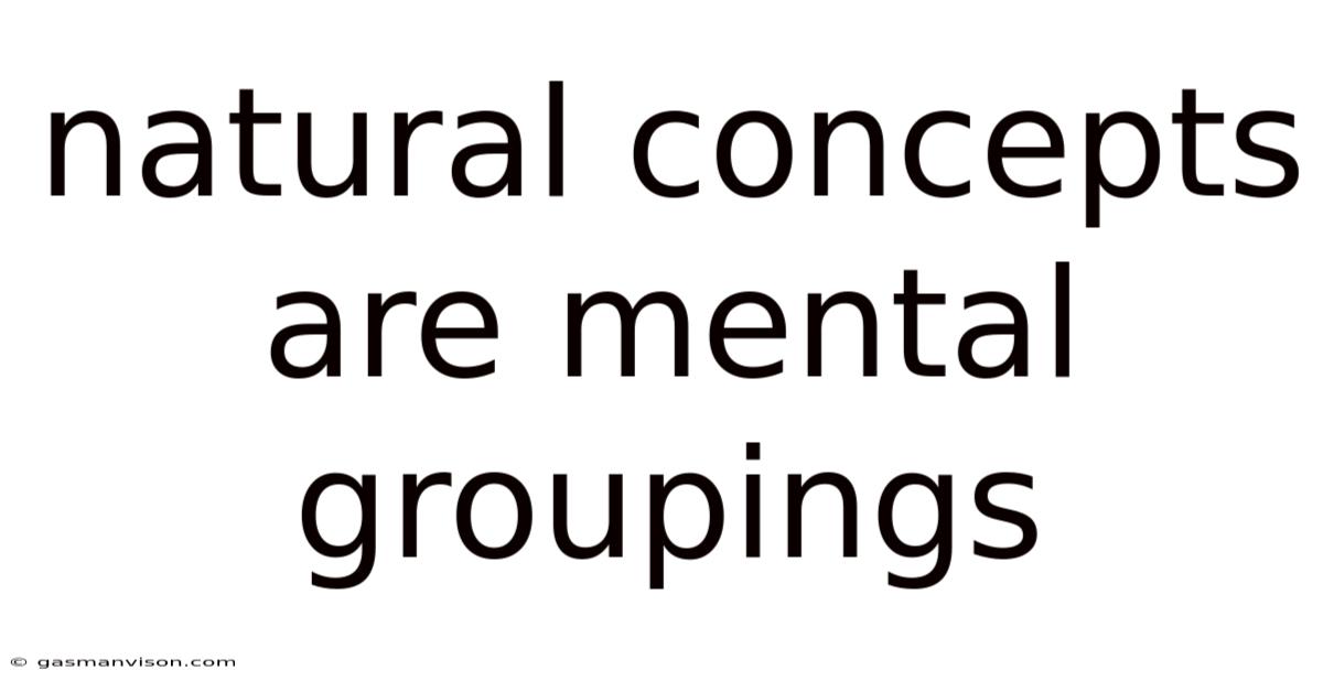Natural Concepts Are Mental Groupings