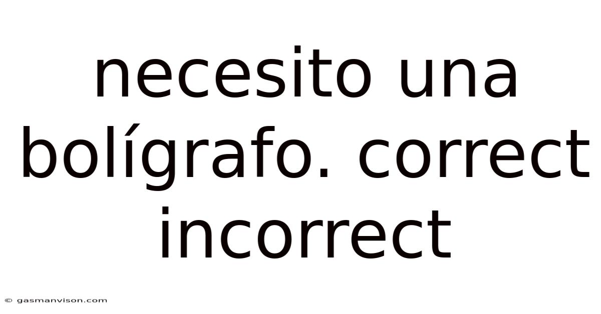 Necesito Una Bolígrafo. Correct Incorrect