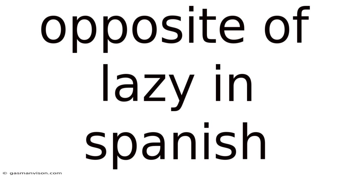 Opposite Of Lazy In Spanish