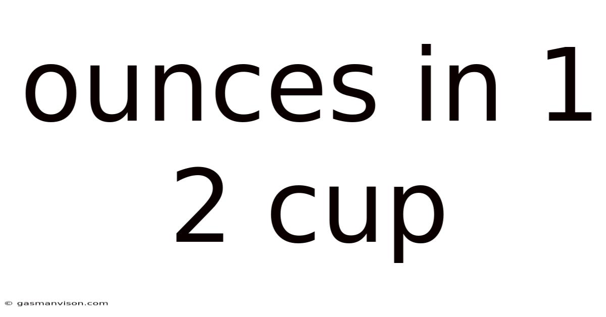 Ounces In 1 2 Cup