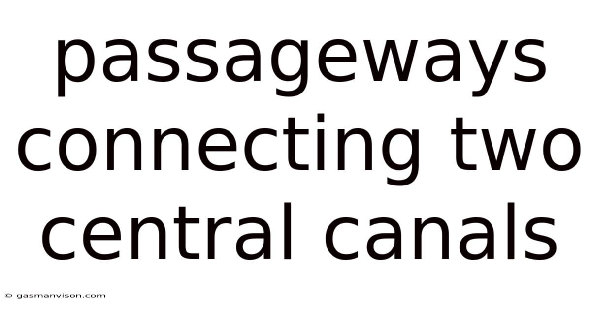 Passageways Connecting Two Central Canals
