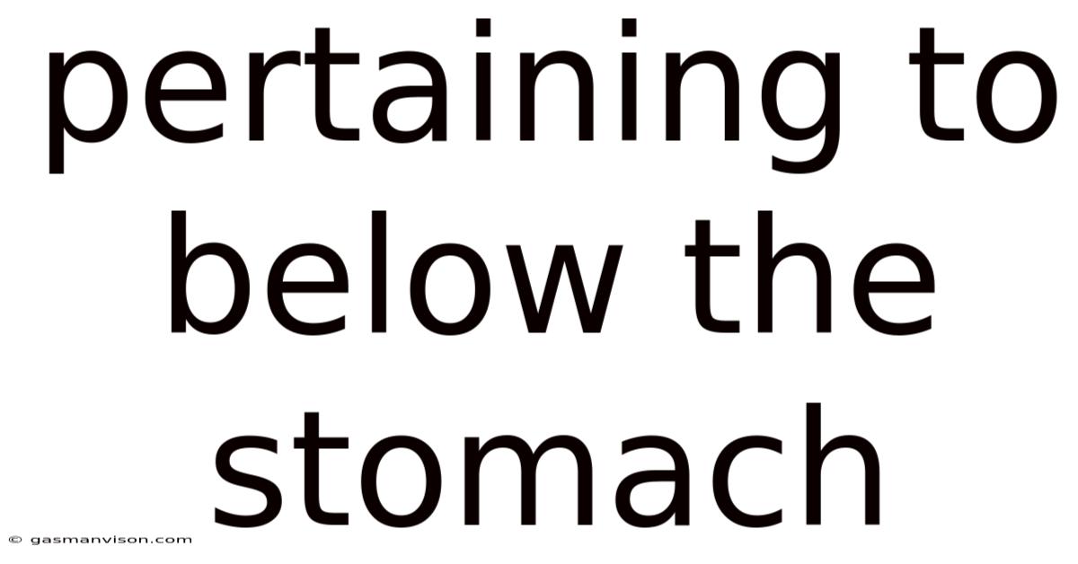 Pertaining To Below The Stomach