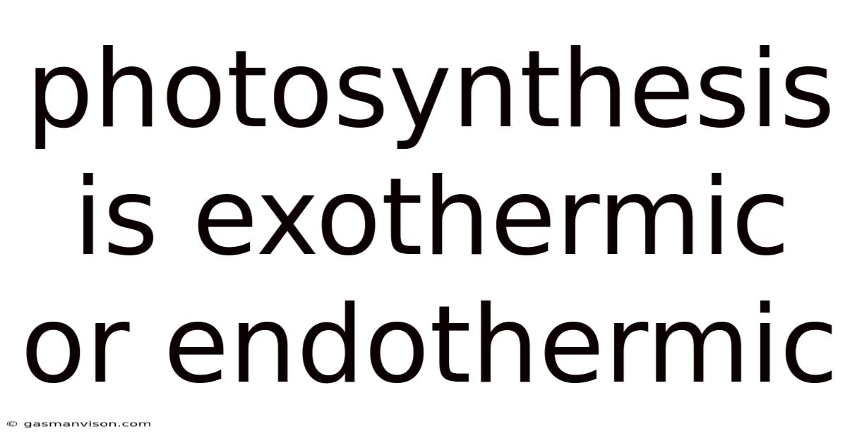 Photosynthesis Is Exothermic Or Endothermic