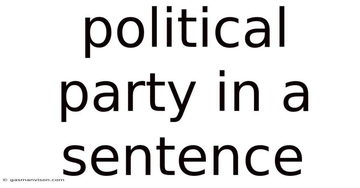 Political Party In A Sentence