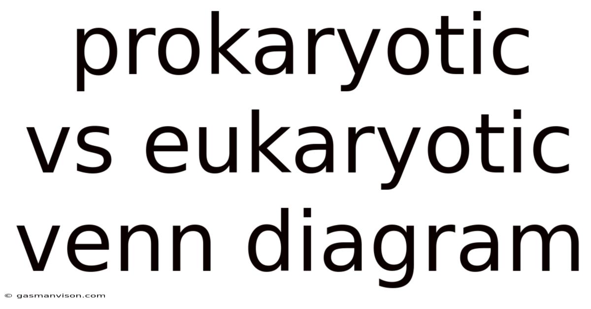Prokaryotic Vs Eukaryotic Venn Diagram