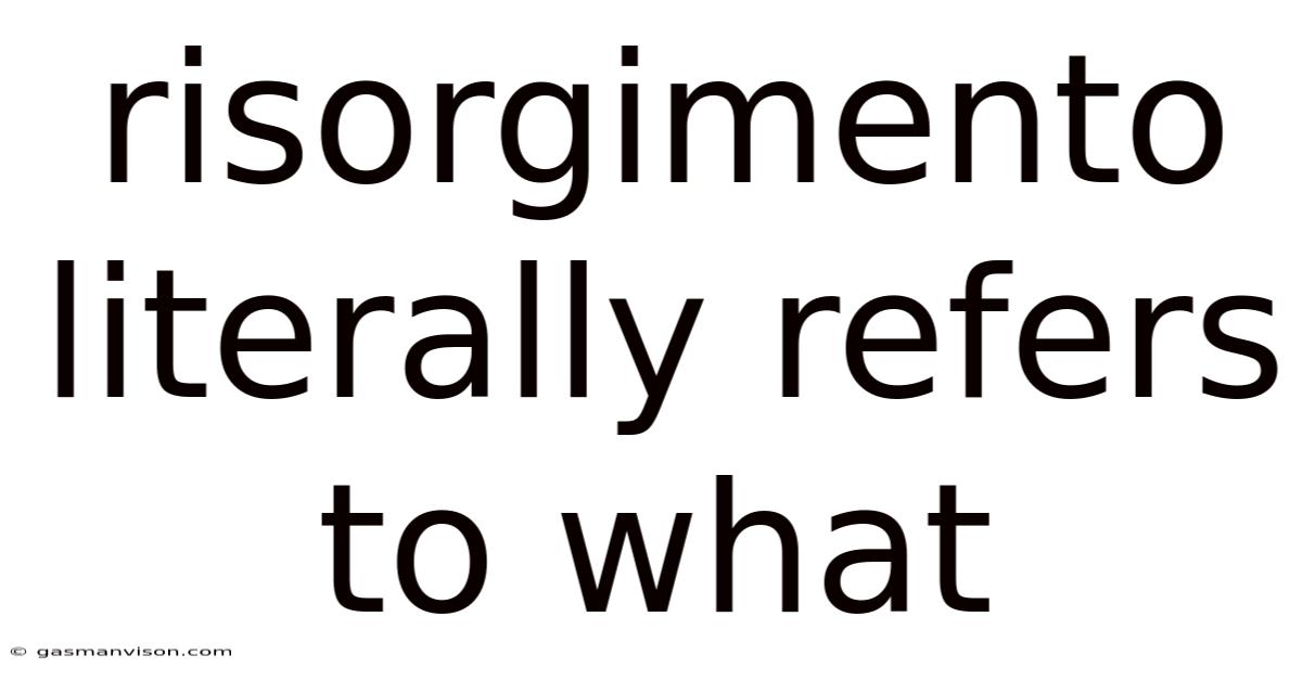 Risorgimento Literally Refers To What