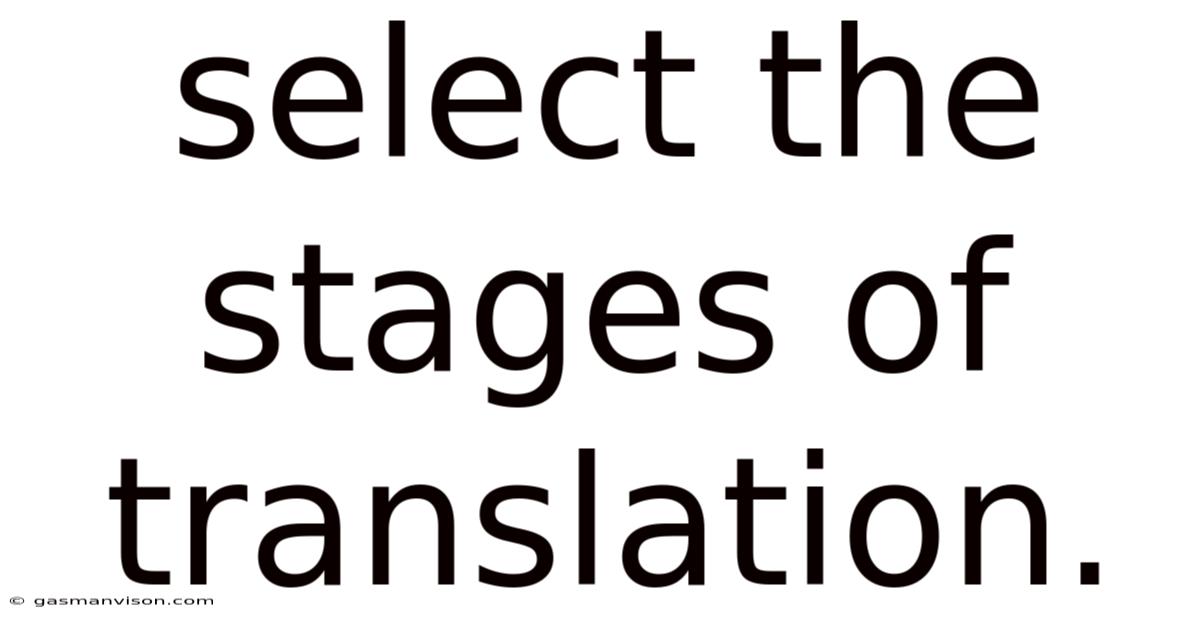 Select The Stages Of Translation.