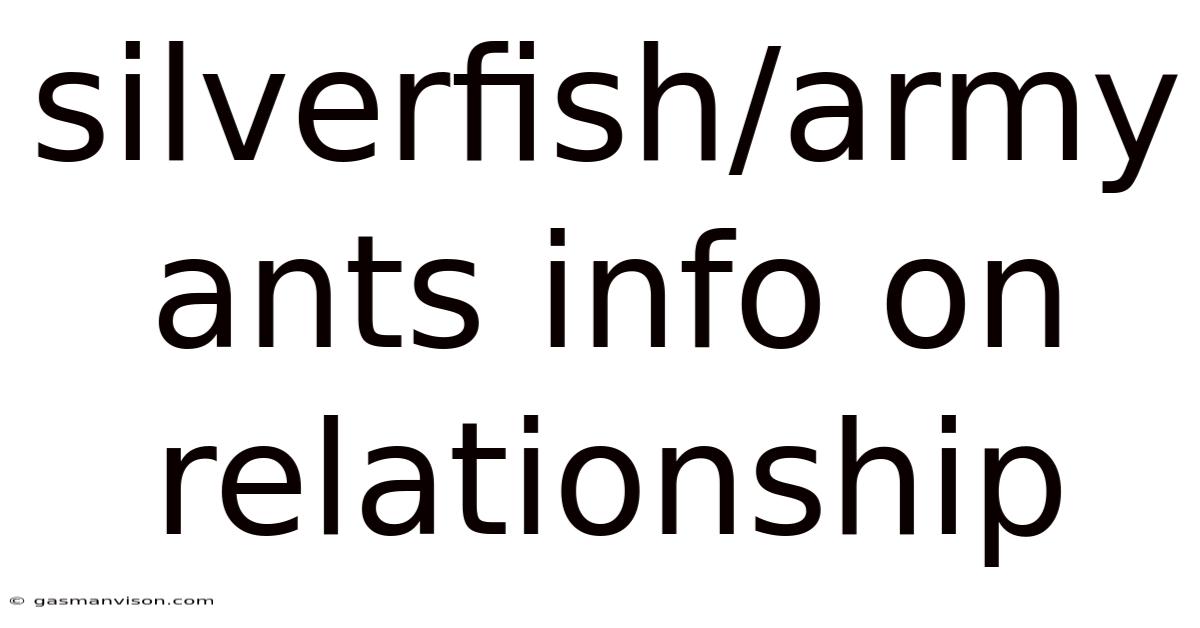 Silverfish/army Ants Info On Relationship