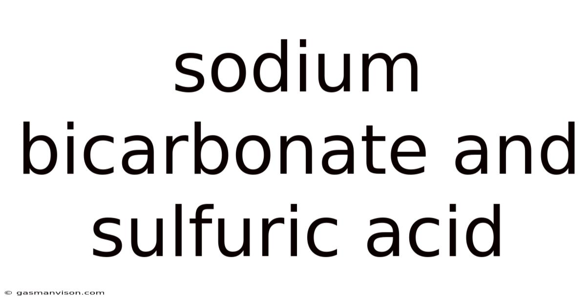 Sodium Bicarbonate And Sulfuric Acid