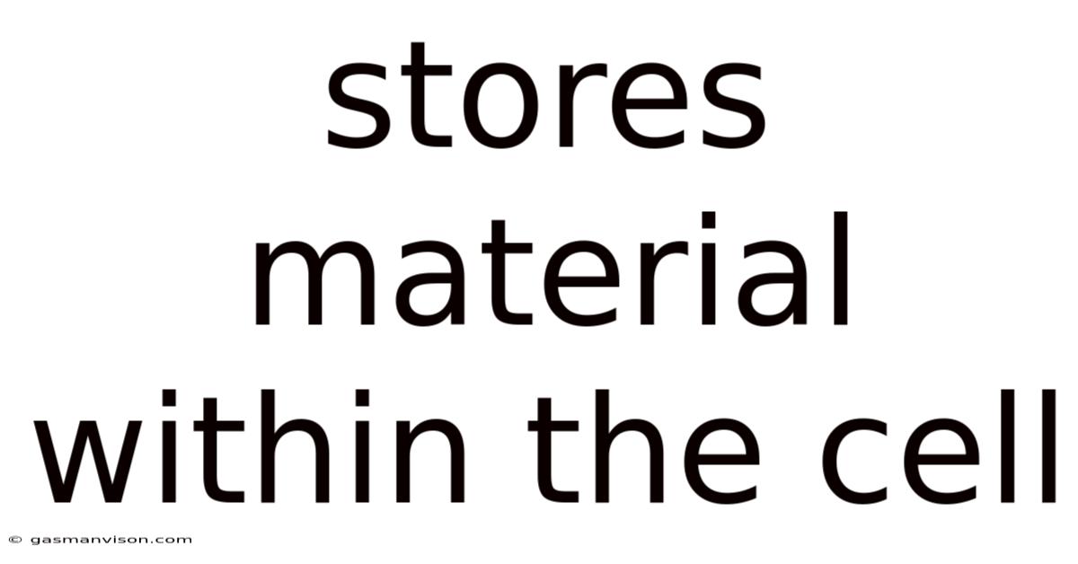 Stores Material Within The Cell