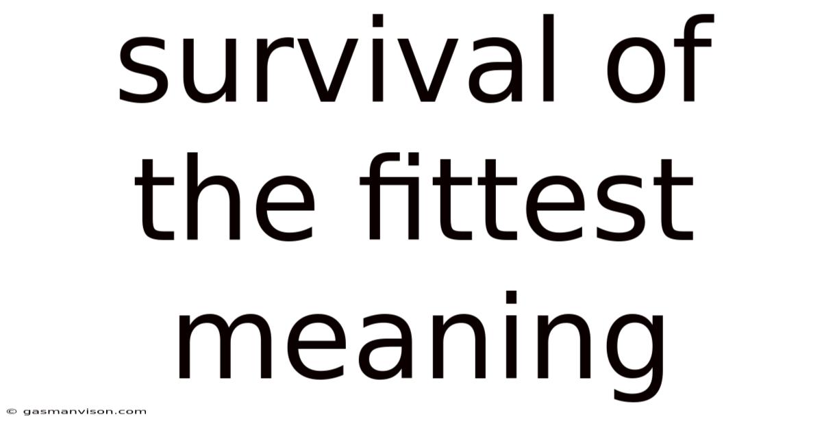 Survival Of The Fittest Meaning