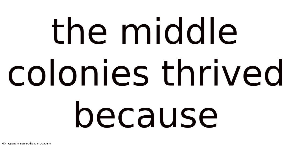 The Middle Colonies Thrived Because