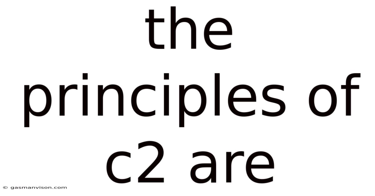 The Principles Of C2 Are