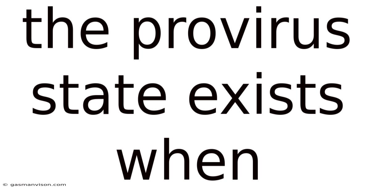 The Provirus State Exists When