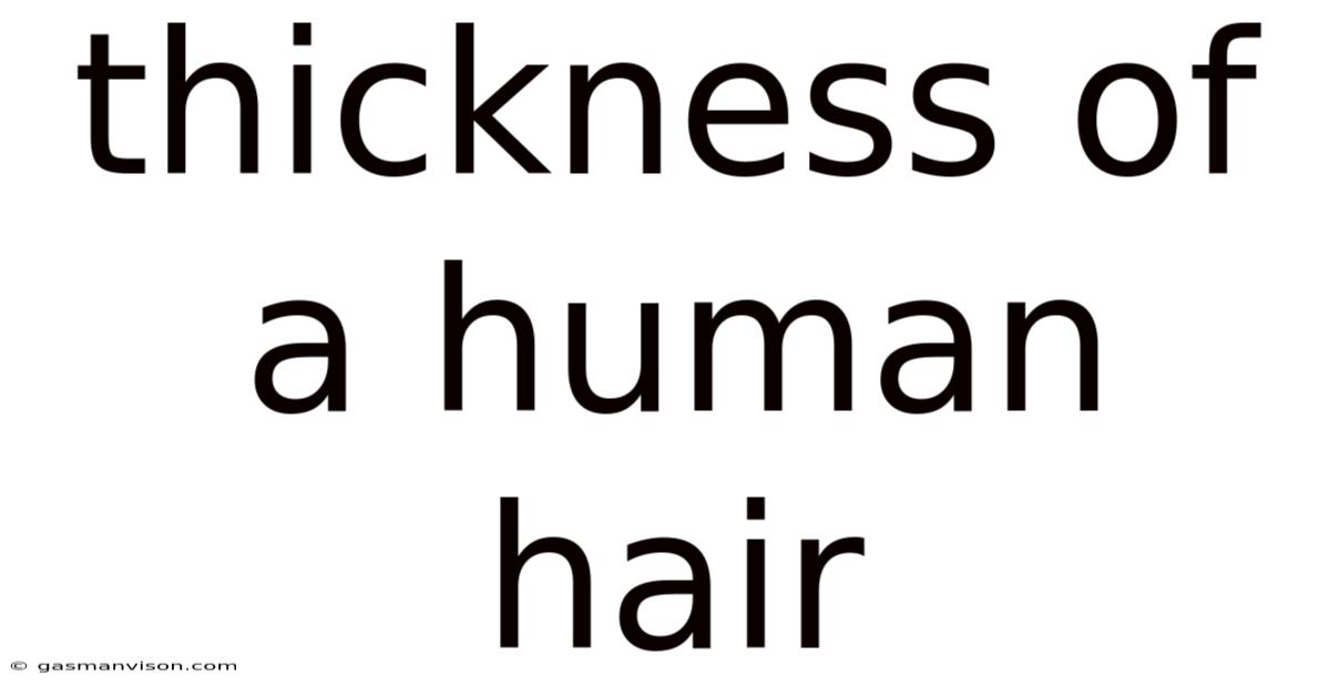 Thickness Of A Human Hair