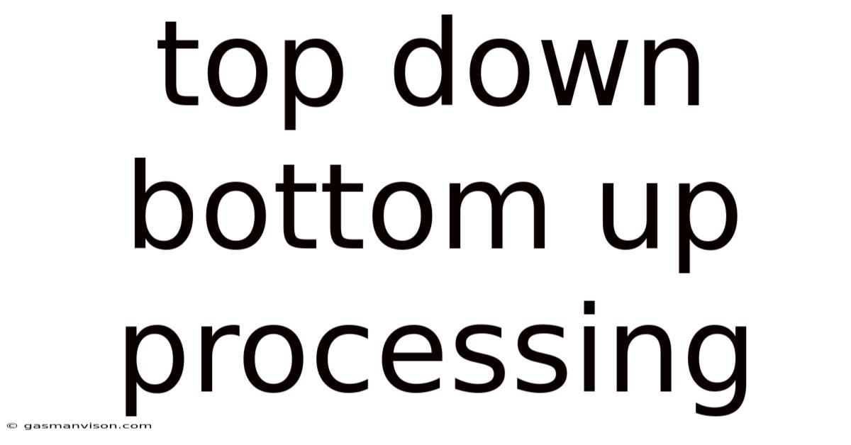 Top Down Bottom Up Processing