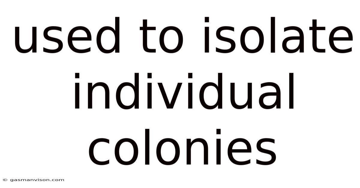 Used To Isolate Individual Colonies