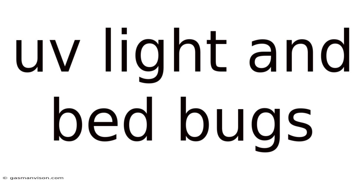 Uv Light And Bed Bugs