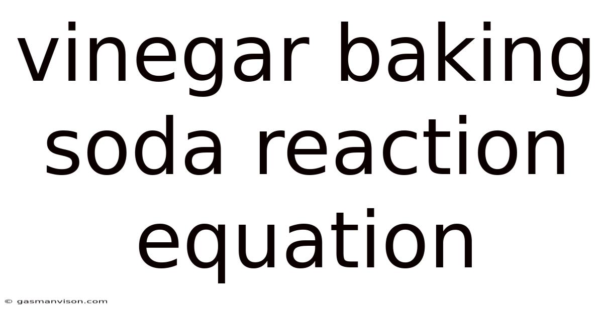 Vinegar Baking Soda Reaction Equation