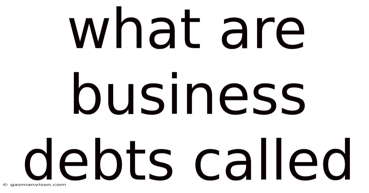 What Are Business Debts Called