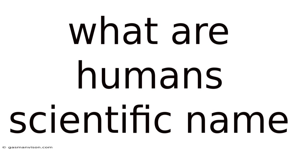 What Are Humans Scientific Name