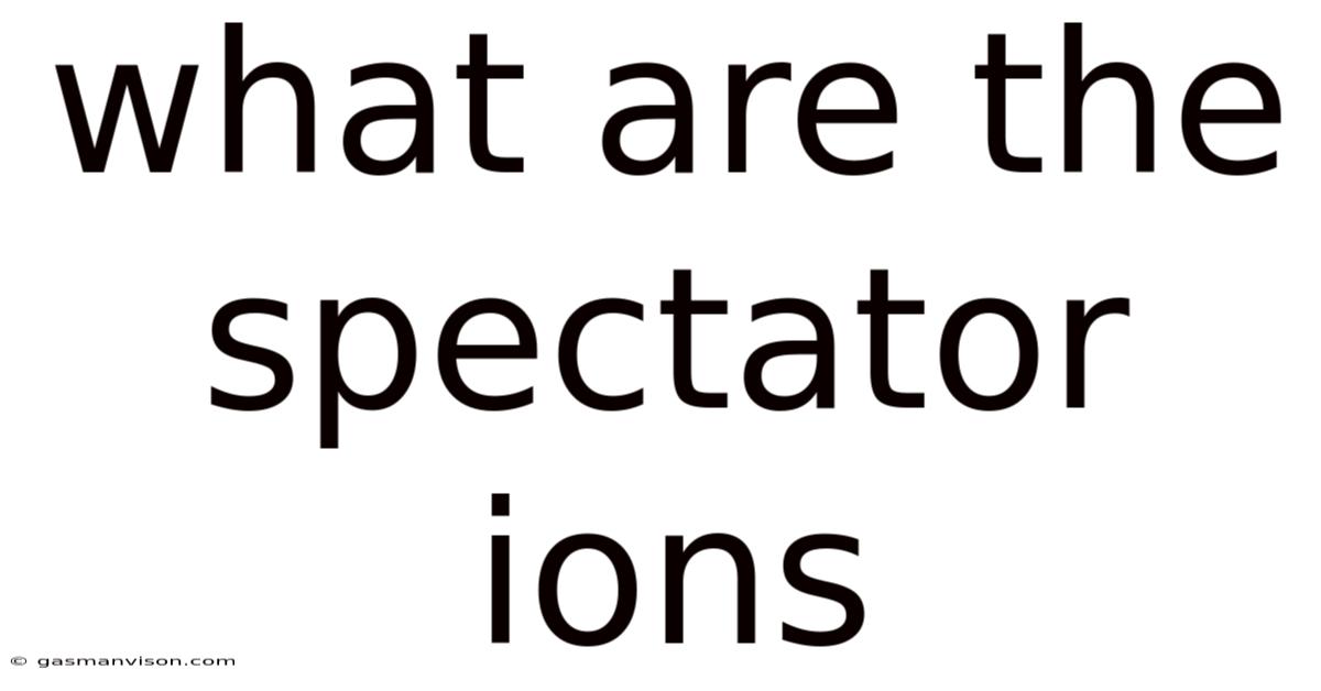 What Are The Spectator Ions