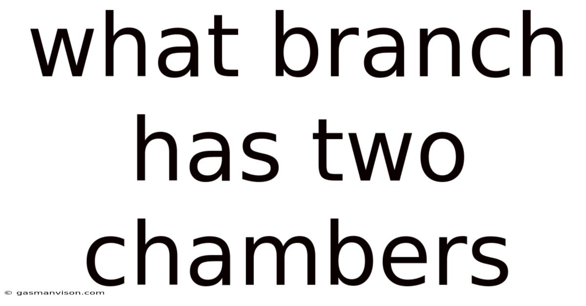 What Branch Has Two Chambers