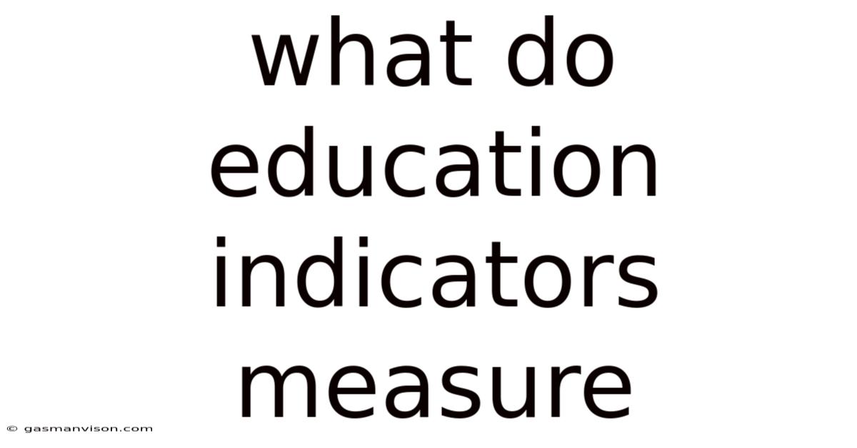 What Do Education Indicators Measure