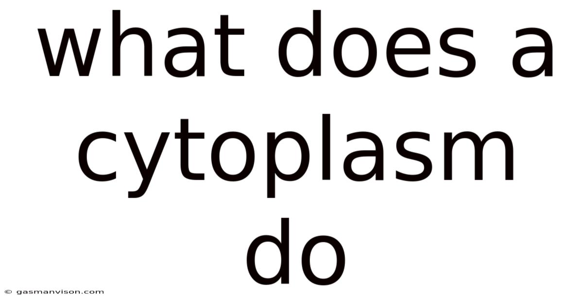 What Does A Cytoplasm Do