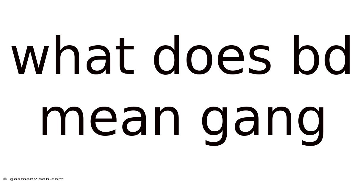 What Does Bd Mean Gang