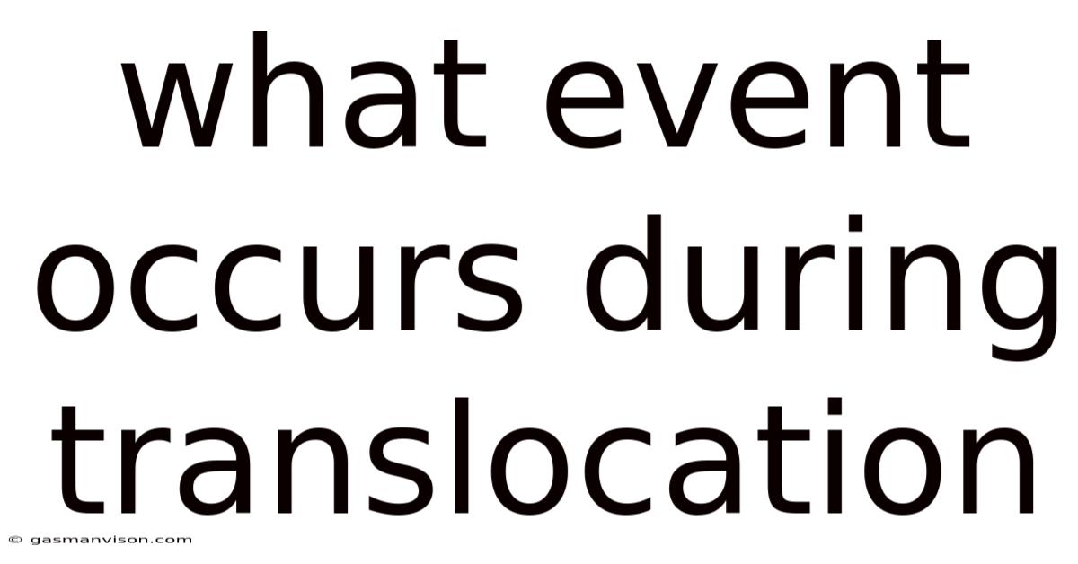 What Event Occurs During Translocation