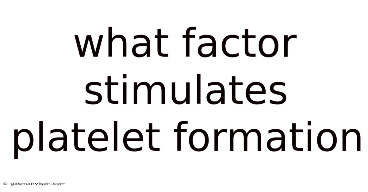 What Factor Stimulates Platelet Formation