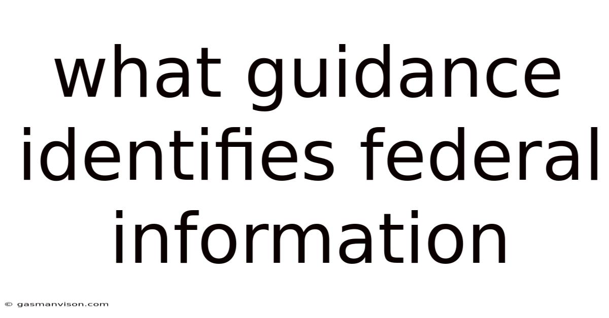 What Guidance Identifies Federal Information