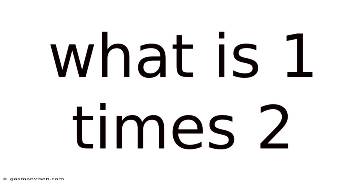 What Is 1 Times 2