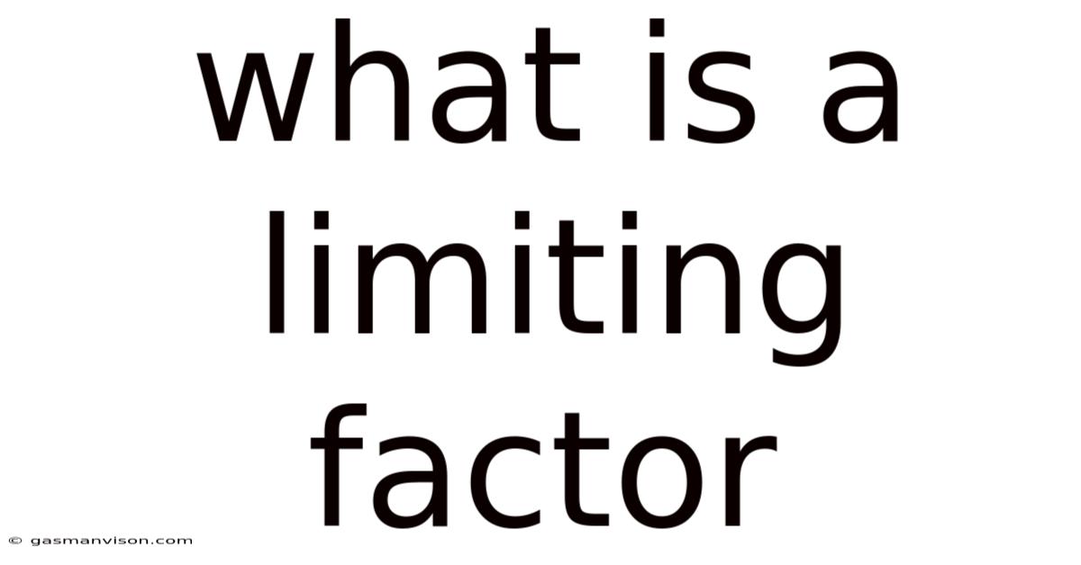 What Is A Limiting Factor