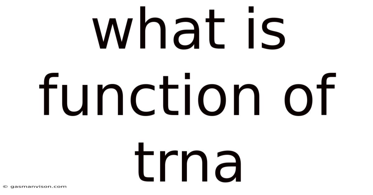 What Is Function Of Trna