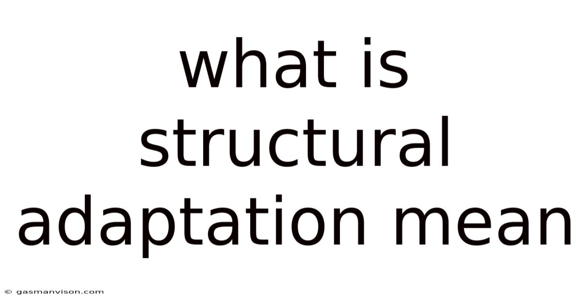 What Is Structural Adaptation Mean